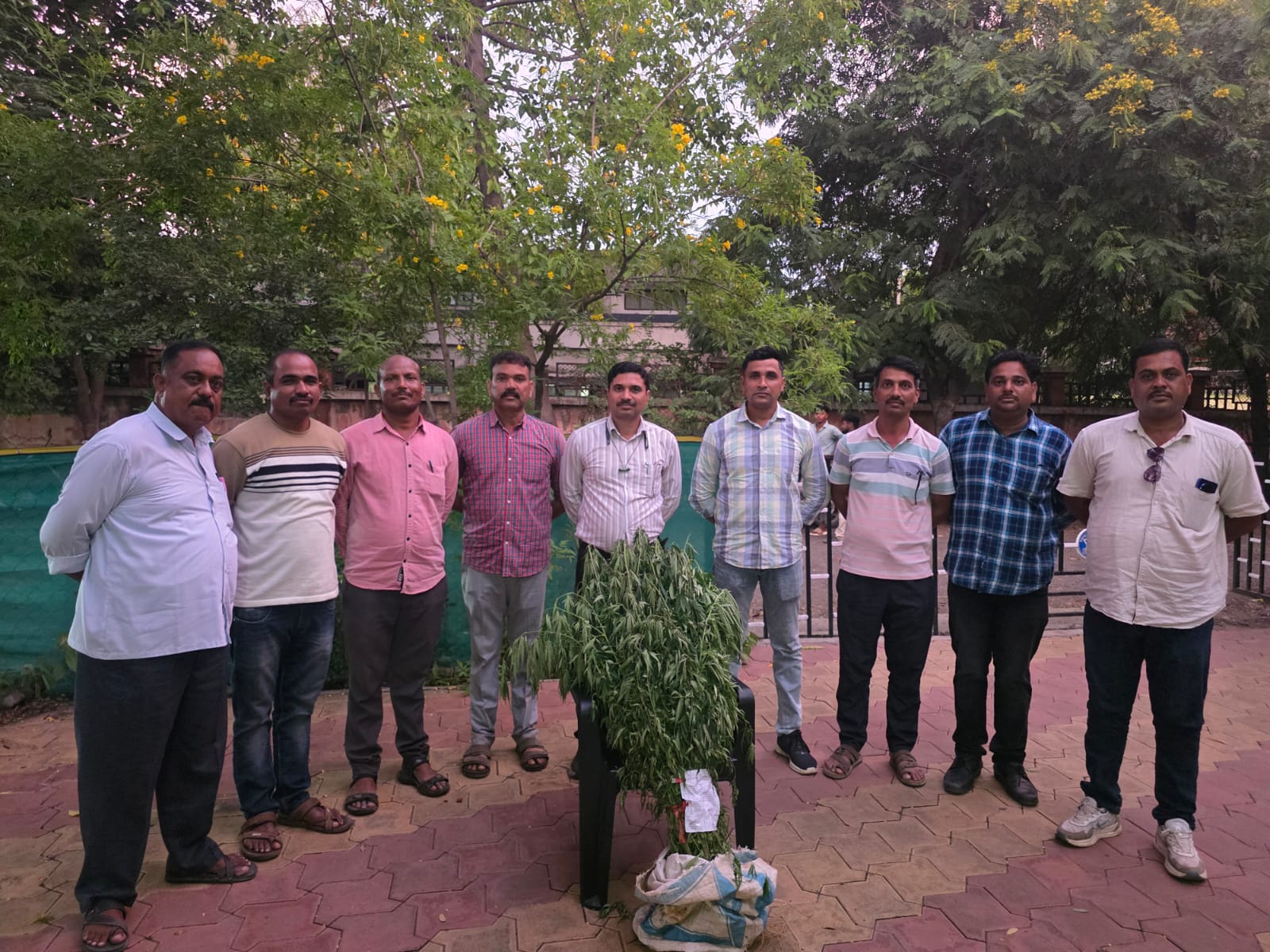 जनुना शेतशिवारात गांजाची लागवड करणाऱ्या इसमावर गुन्हे शाखेची कारवाई.  एकास अटक तर २४ हजाराचा मुद्देमाल जप्त.